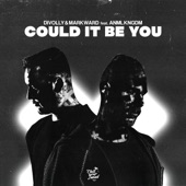 Could It Be You (feat. ANML KNGDM) artwork