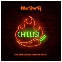 Chillisi (feat. Blaq Diamond & Malome Vector) - Single - Miss Pru DJ