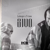Sivo (feat. Frimo) - Single - Lubego