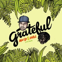 Grateful - Single - KaiLo & NVT3L