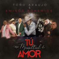 Tú Mi Manantial de Amor - Single - Toño Araujo & Amigos Bohemios