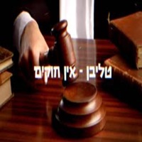אין חוקים - Single - טליבן