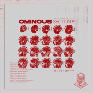 Section 8 - EP