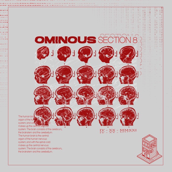 Section 8 - EP
