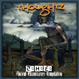 The Recrudescence (feat. Tizzle) Thoughtz