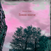 Помню многое - Single - Dimar Chile