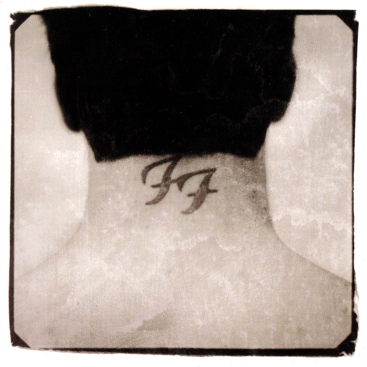 ‎There Is Nothing Left to Lose - Album by Foo Fighters - Apple Music