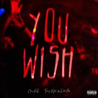 You Wish (feat. Tommy Will & Isadore Noir) - Single - Chris K H