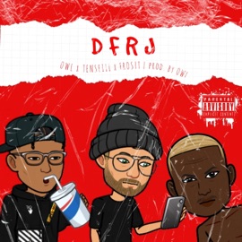 DFRJ (feat. FrosTT & Tenseiii) OWL