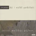 Bir Capkina Yanginim