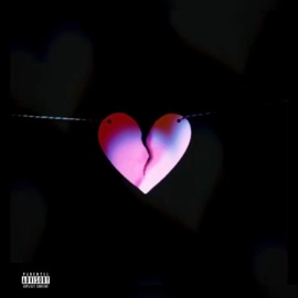 Heartbroken 20/20 Rosémix (feat. DJ Jayhood) Rome Rose