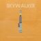 Skywalker (feat. Maryn G) - Groovy Giovanni lyrics