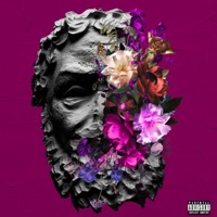 Expecting Roses - Ferris Blusa