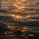 Magnify Single