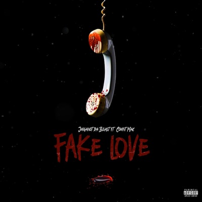 Fake Love (feat. Count Mac) - Single