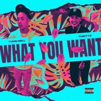 What you want (feat. Thirty2) - Single - Yung Nell & Thirty2