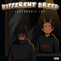 Different Breed - Love Bandit Jay