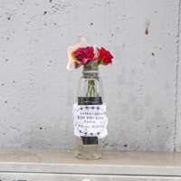 Burn baby, burn (Adrian Sellevoll remix) - Single - Chris Abolade & Amara