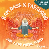 Your Game Is Clean - Single - Papadosio & Ram Dass