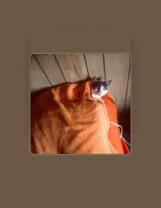 Kiwi Lime Squeeze dinle, müzik videolarını izle, biyografisini oku, tur tarihlerini ve daha fazlasını gör!