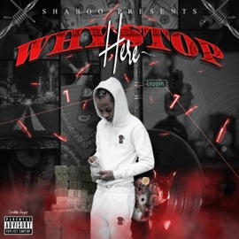 Gangsta Fever P2 (T Turn Up) Shaboo