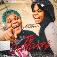 Te Olvidaré - Single - Anübix & La Cintumbare