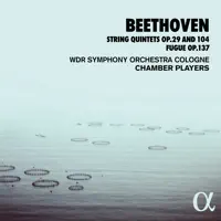 String Quintet in C Major, Op. 29: III. Scherzo (Allegro) — WDR Symphony Orchestra Cologne Chamber Players