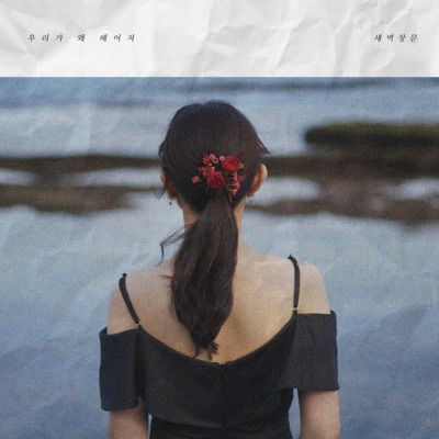 Why should we break up? - Single