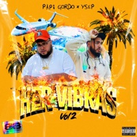Her Vibras, Vol. 2 - Papi Gordo & YSEP