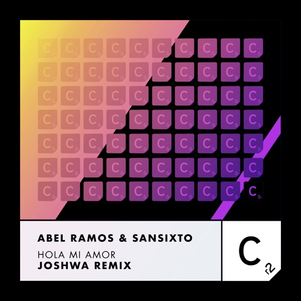 Hola Mi Amor (Joshwa Remix) - Single