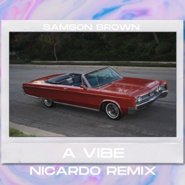 A Vibe (Nicard0 Remix) Samson Brown