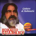 Guitarra de