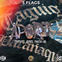 Aport (feat. Pzycho Sid & Arpee) - Single - Critz