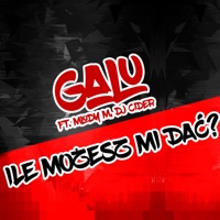 Ile Możesz mi Dać? (feat. DJ Cider & Młody M) - Single - Galu & Caretunes