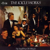 The Icicle Works - Book of Reason