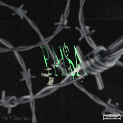 Paisa - Single