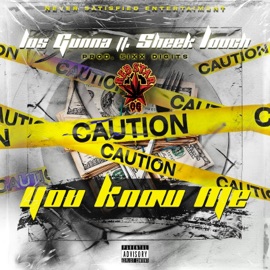You Know Me (feat. Sheek Louch) Los Gunna