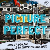Picture Perfect (feat. Doujja, Honor Flow Productions & Boonie Mayfield) - Single - Hope Is Music