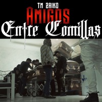 Amigos Entre Comillas - Single - TM Zaiko