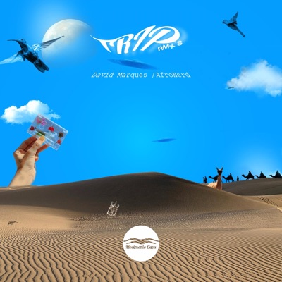 Trip Remixes - Single