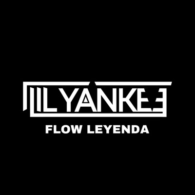 Dj Lil Yankee - Reggaeton Flow HP
