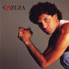 Codinome Beija-Flor - Cazuza