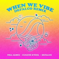 When We Vibe (feat. Eugene O'neil) [DeFalco Remix] - Single - Noa James
