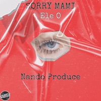 Sorry Mami - Single - ELE O & Nando Produce