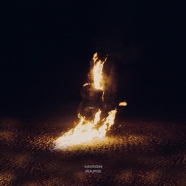 Kein Plan Miron Rafis