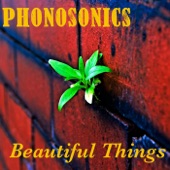 Phonosonics - Beautiful Things