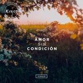 Incontrolable Amor artwork