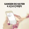 Katastrofe - Sangen Du Hater