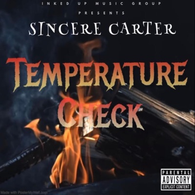 Temperture Check - Single