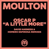 A Little More (David Harness Remix) artwork